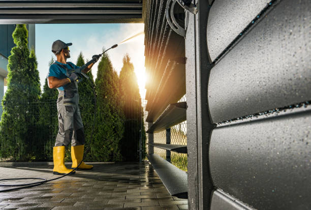 Best Dumpster Area Cleaning  in Palm Springs North, FL